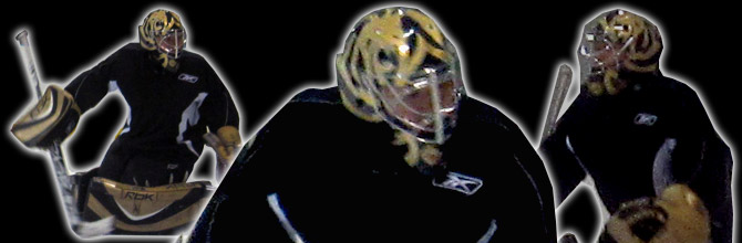 EYECANDYAIR Professional Hockey Goalie Helmet SportMask Airbrushing Painted Goalie Mask Customer interview