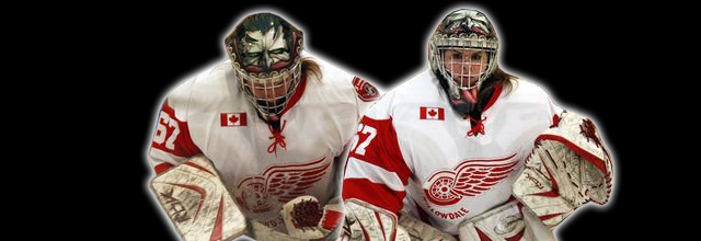 EYECANDYAIR Professional Hockey Goalie Helmet SportMask Airbrushing Painted Goalie Mask Customer interview