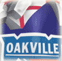 Oakville Rangers Sportmask goalie mask airbrush painted by Canadian artist steve nash eyecandyair toronto
